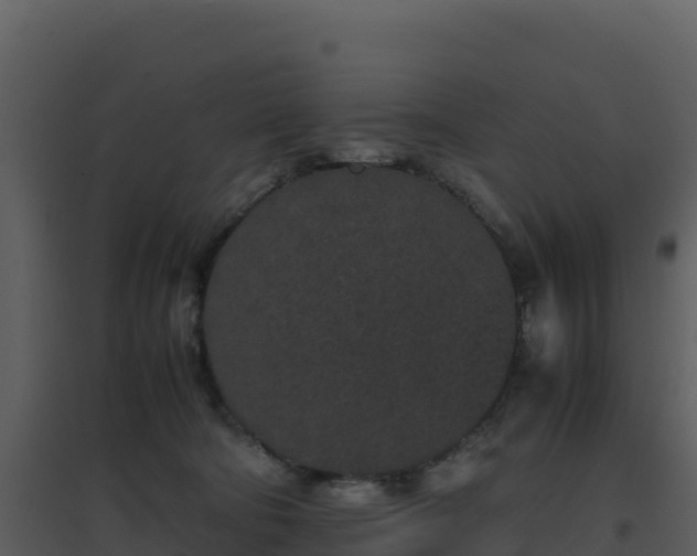 X0000096650322200802121138