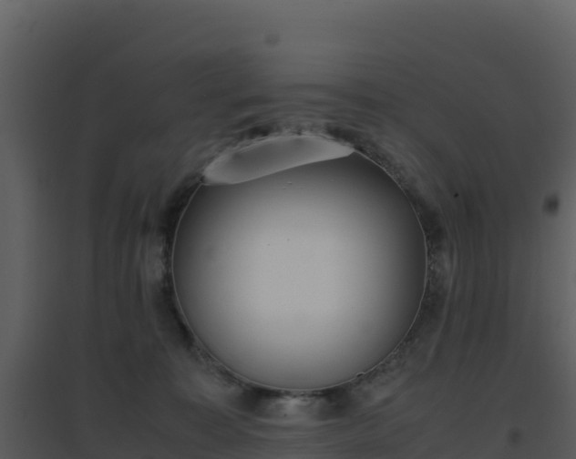 X0000096650323200802121138
