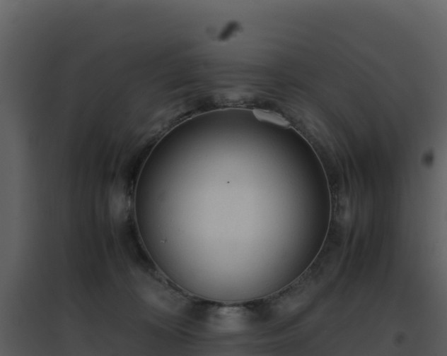 X0000096650324200802121138