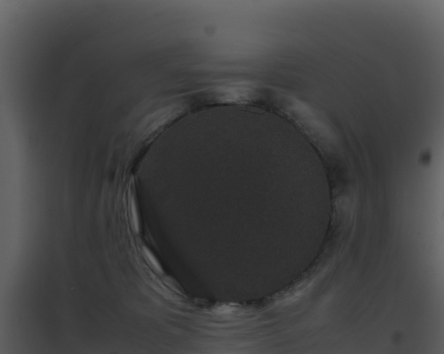X0000096650325200802121138