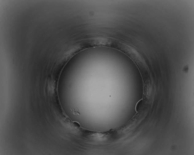 X0000096650326200802121138