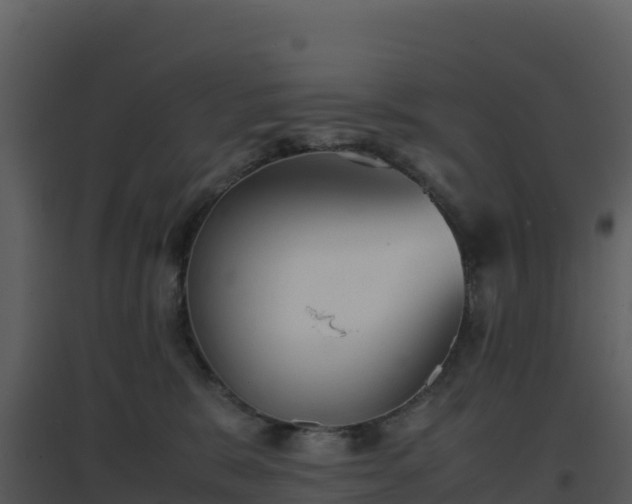 X0000096650327200802121138