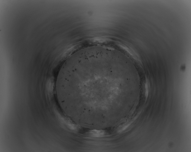 X0000096650328200802121138