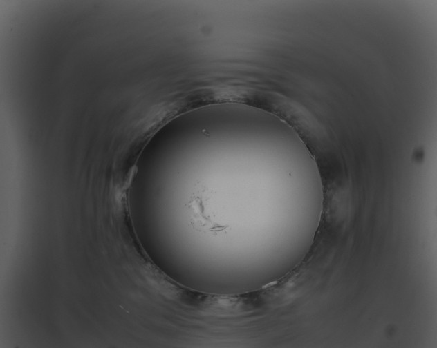 X0000096650329200802121138