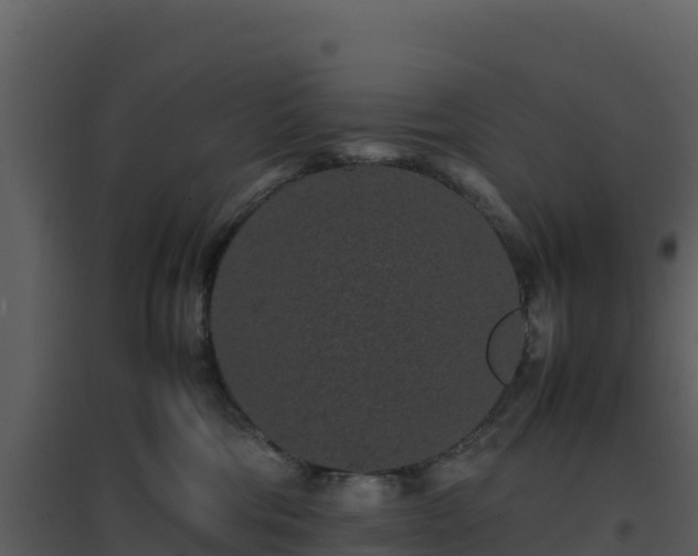 X0000096650330200802121138