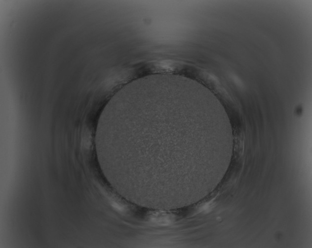 X0000096650331200802121138