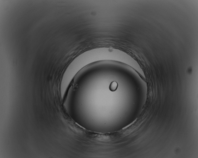 X0000096650332200802121138