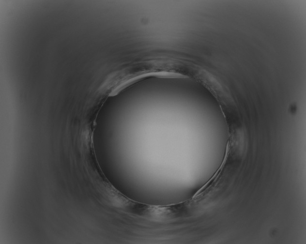 X0000096650333200802121138