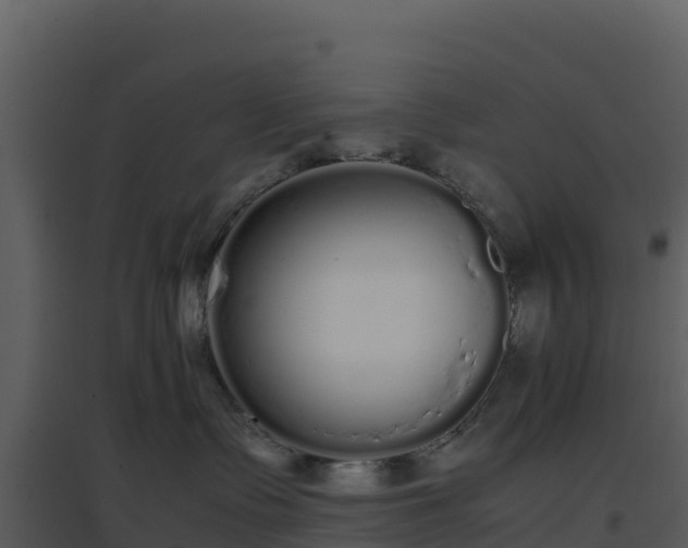 X0000096650335200802121138
