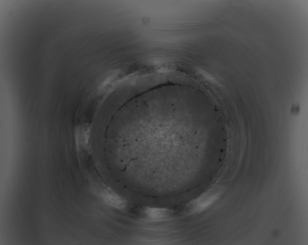 X0000096650336200802121138