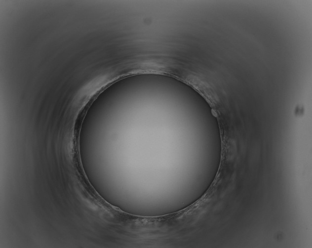 X0000096650338200802121137