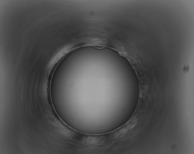 X0000096650341200802121137