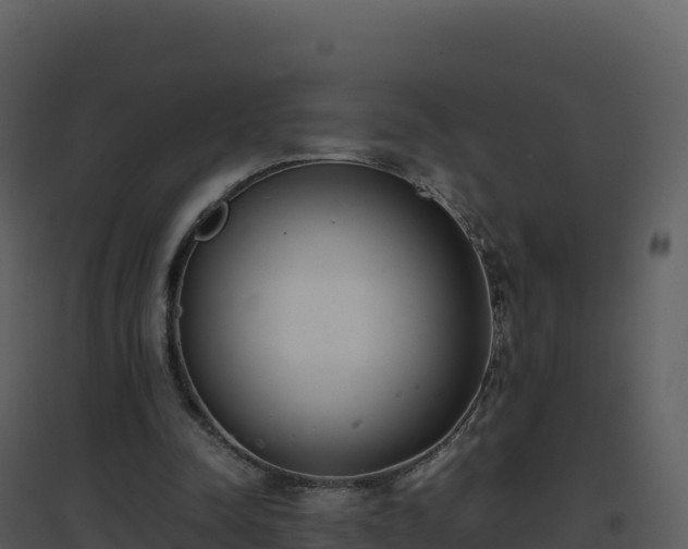 X0000096650342200802121137