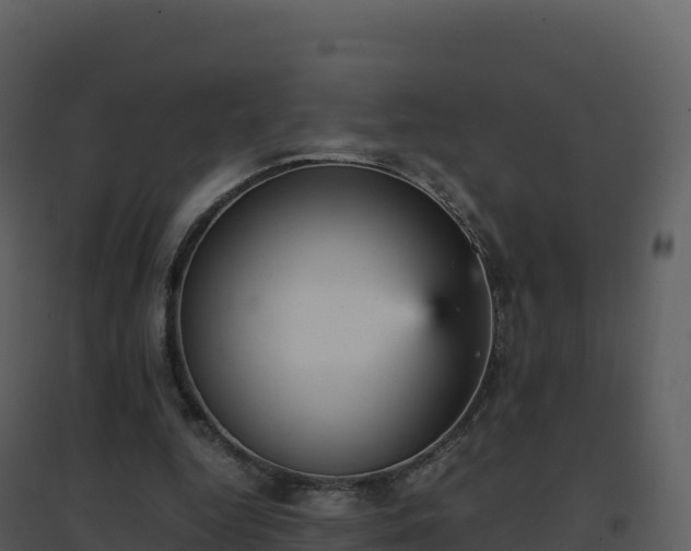 X0000096650344200802121137
