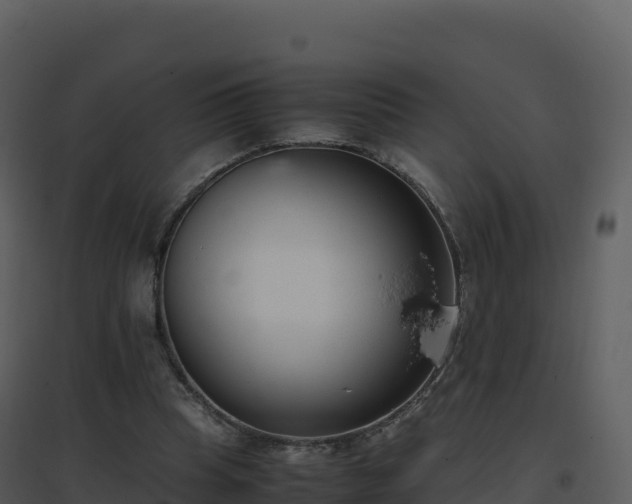 X0000096650345200802121137