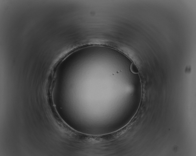 X0000096650346200802121137