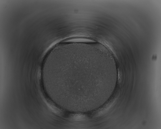 X0000096650348200802121137