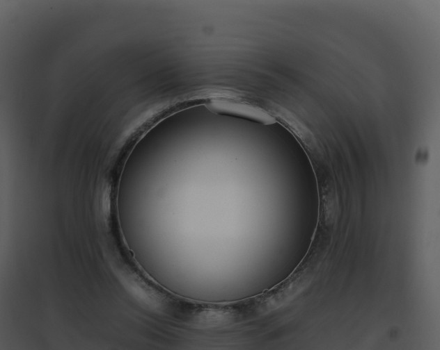 X0000096650350200802121137
