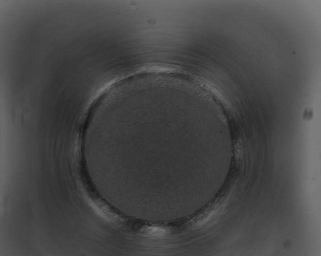X0000096650352200802121137