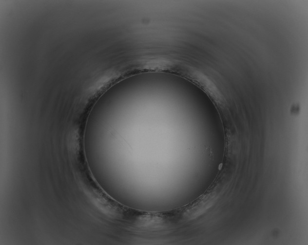 X0000096650354200802121137