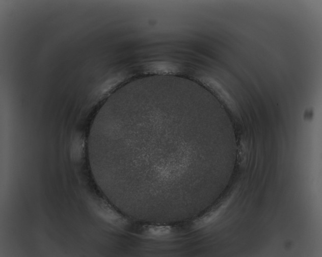 X0000096650355200802121137
