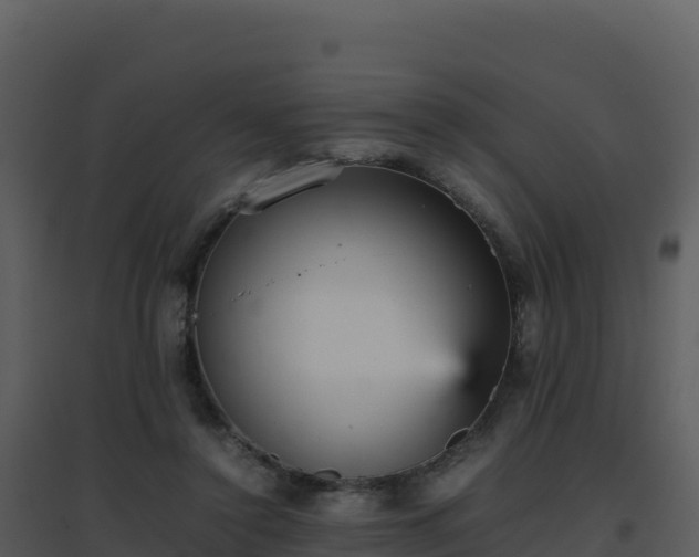 X0000096650356200802121137