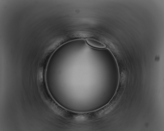 X0000096650358200802121137
