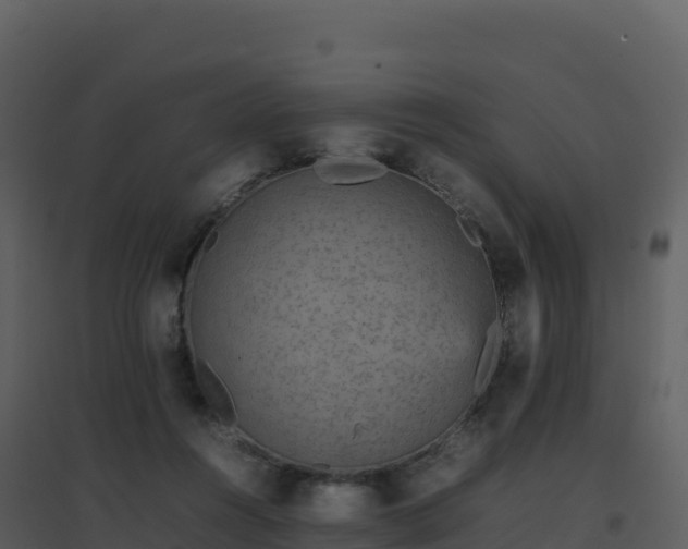 X0000096650360200802121138