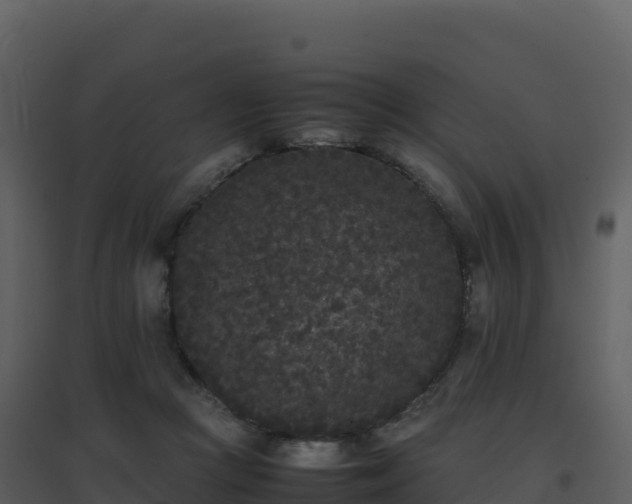 X0000096650361200802121138