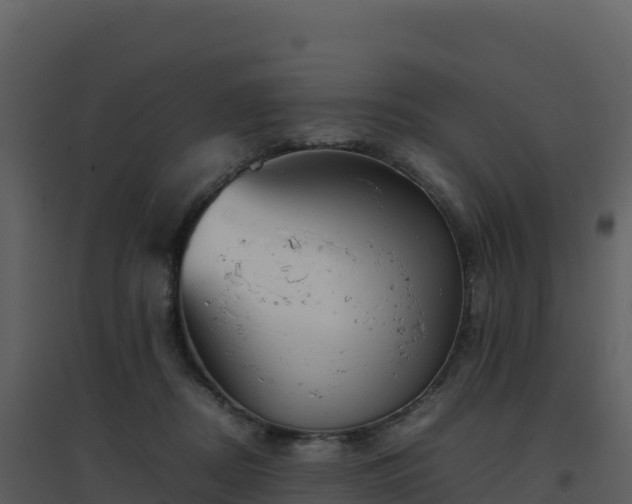 X0000096650362200802121138