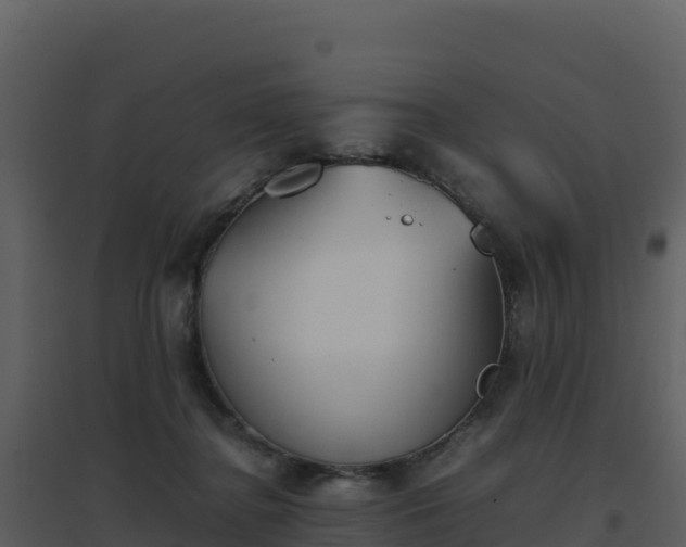 X0000096650364200802121138