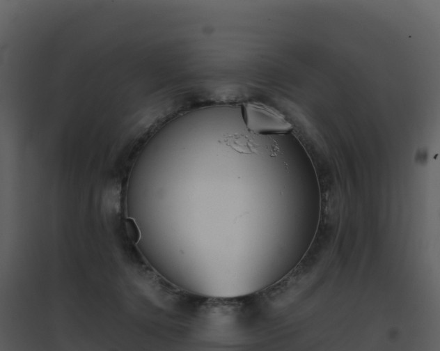 X0000096650368200802121138