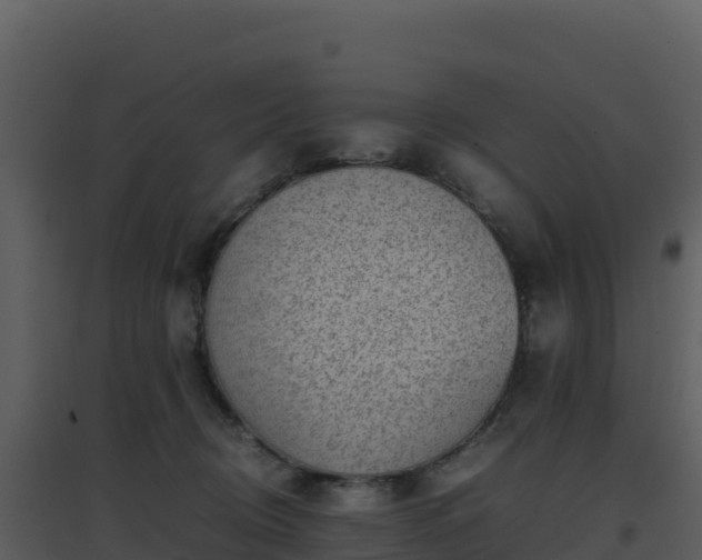 X0000096650370200802121138