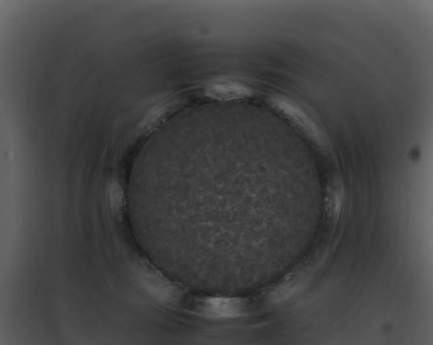 X0000096650371200802121138