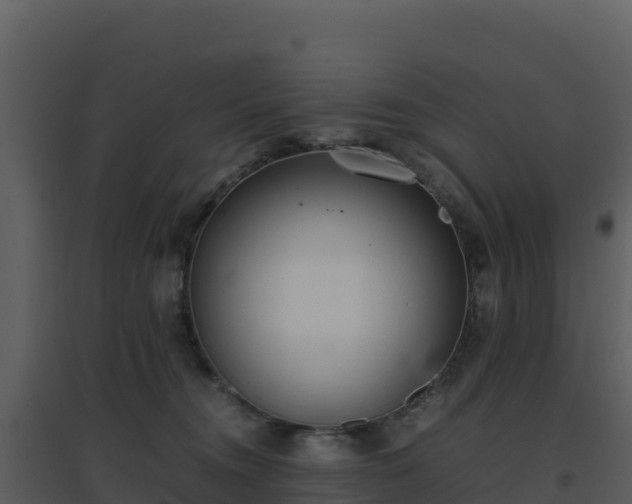 X0000096650372200802121138