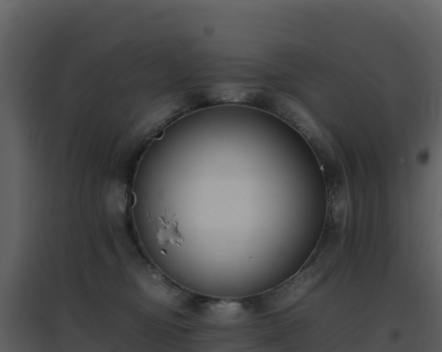X0000096650374200802121138