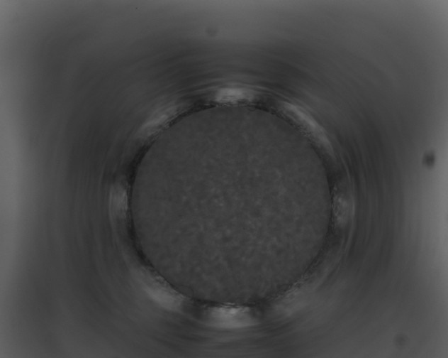 X0000096650375200802121138