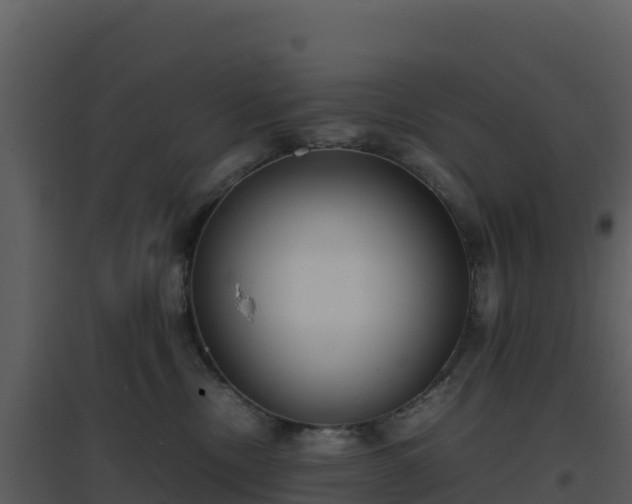 X0000096650378200802121138