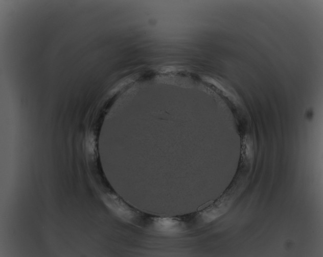 X0000096650380200802121138