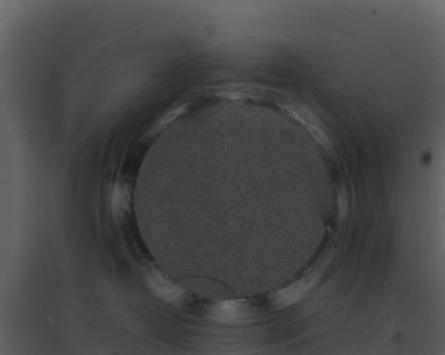 X0000096650382200802121138