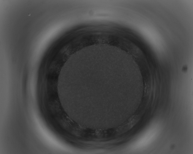 X0000096650383200802121138