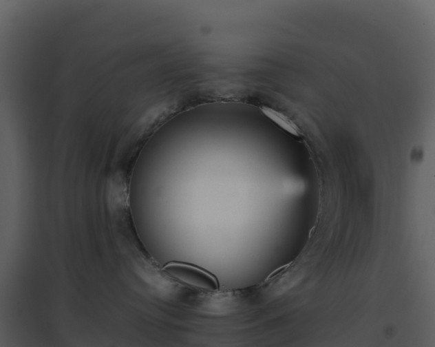 X0000096650384200802121138