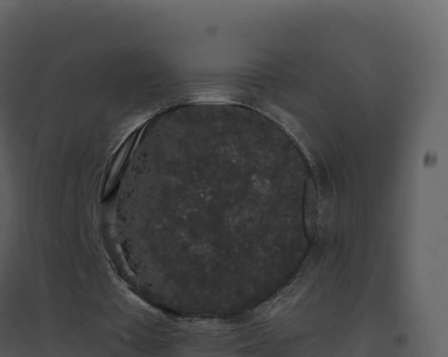 X0000096650385200802121137