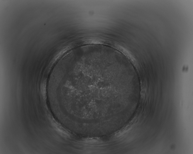 X0000096650386200802121137