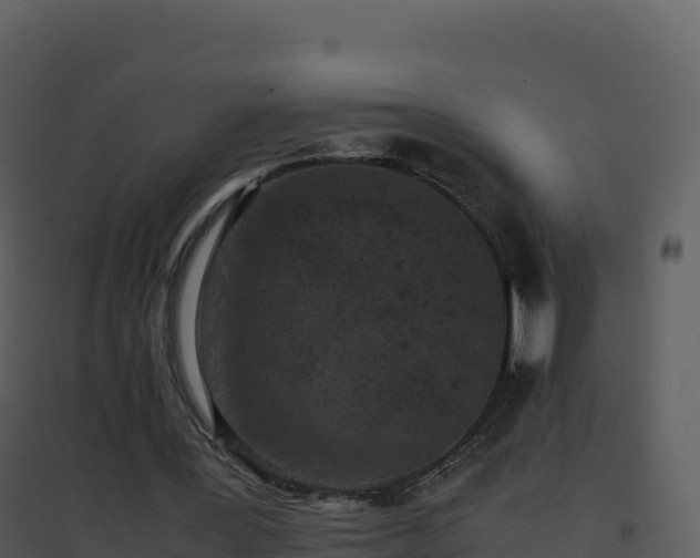 X0000096650387200802121137