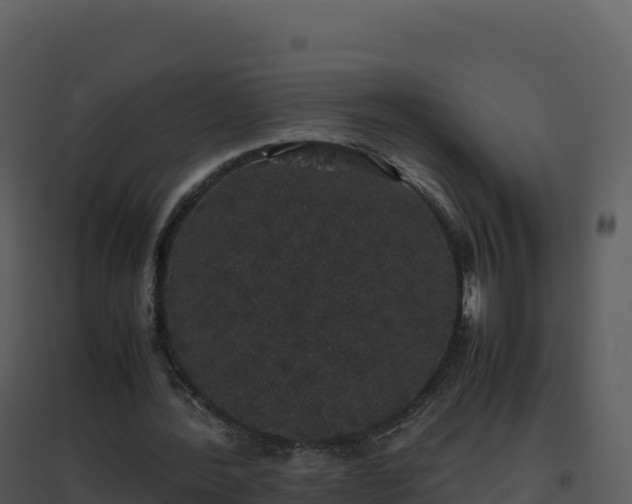 X0000096650388200802121137