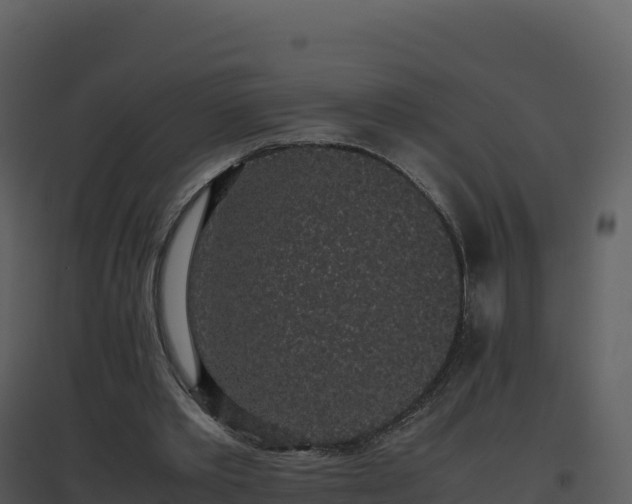 X0000096650389200802121137