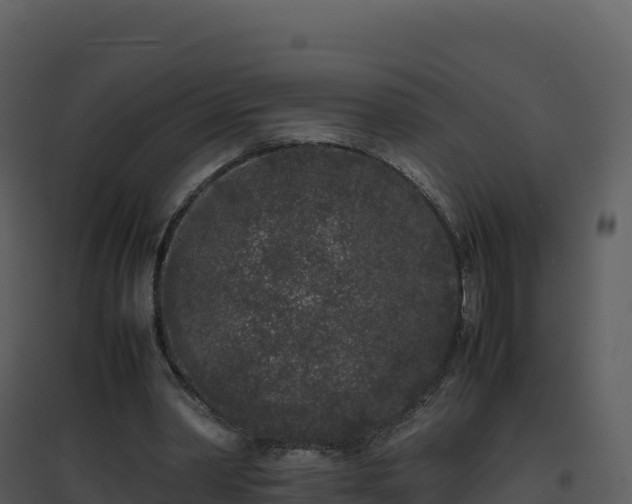 X0000096650390200802121137