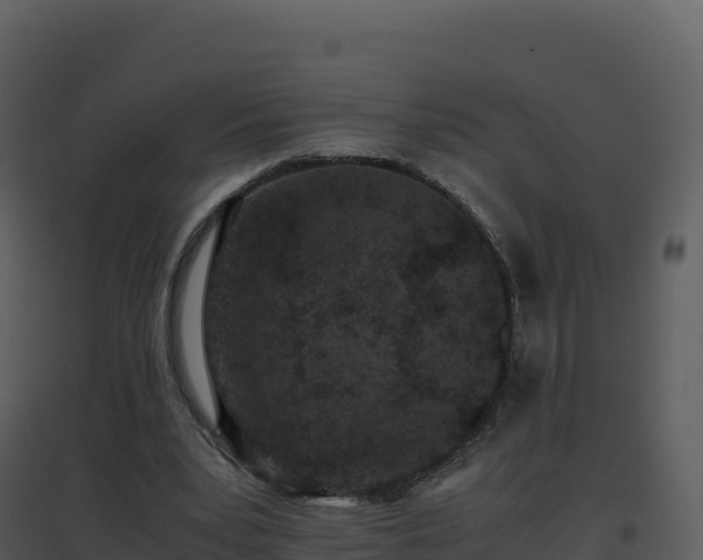 X0000096650391200802121137