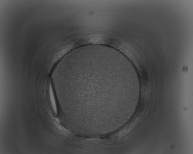 X0000096650393200802121137